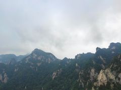 -王顺山国家森林公园