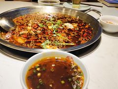 辛欢喜美蛙-廖姥爷美蛙鱼头火锅(小龙桥店)