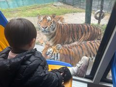 -栾川竹海野生动物园