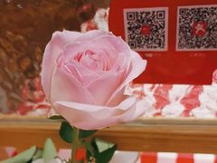 -西贝(枫蓝国际购物中心店)