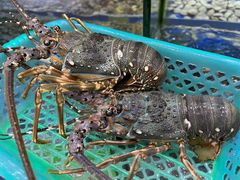 -厨房好味(国贸店)