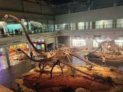 -自贡恐龙博物馆