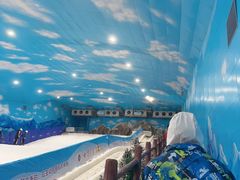 -世界之窗阿尔卑斯冰雪世界