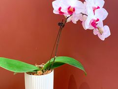 -二酉书店TOYOU BOOKS