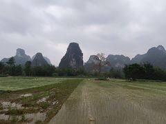 -明仕田园
