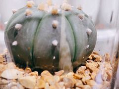 -KKV(深圳宏发大仟里店)