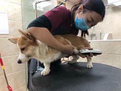 -美联众合动物医院·24h京西诊疗中心