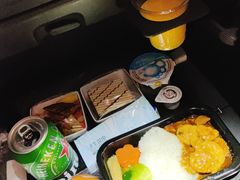 -新加坡航空公司(ION)