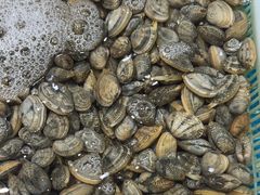 -和源祥·日照菜扛把子(万平口一店)