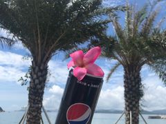 -深圳大梅沙京基洲际度假酒店