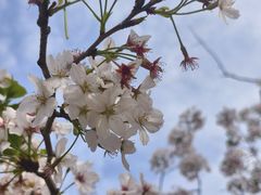 -上海南浦大桥长途旅游客运站
