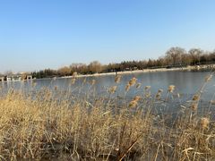 -大兴滨河森林公园