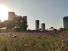 -杭州城北体育公园