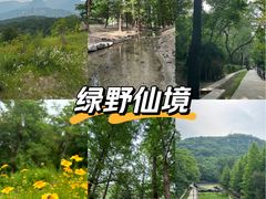 -白水寺森林公园