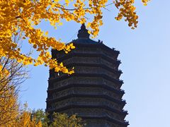 -玲珑塔公园