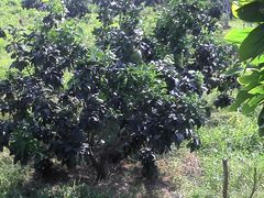 -长泰漂流水陆空景区