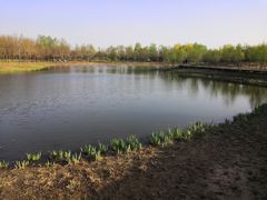 -东郊湿地公园