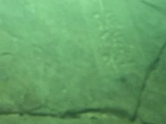 -白鹤梁水下博物馆