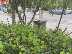 -大碗李·海鲜天津菜(河北路店)