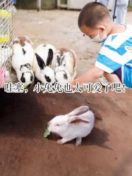 -前小桔亲子创意农场·草莓采摘·露营烧烤