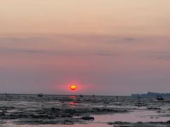 -北海金海湾红树林生态旅游区