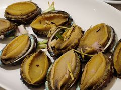 果皮蒸大连鲍鱼-真味鲜厨(观塘店)