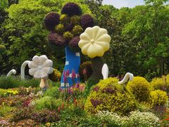 -上海共青森林公园