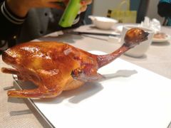红烧乳鸽-广东道至正餐厅(区庄店)
