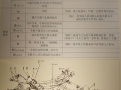 -洛阳周王城天子驾六博物馆