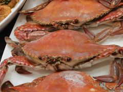 -南山酒肆(南山董事绘店)