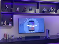 -Sony Store 索尼(上海淮海中路店)