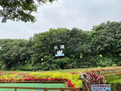 -广州长隆飞鸟乐园