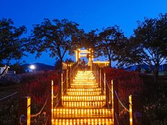 -羊亭河湿地公园