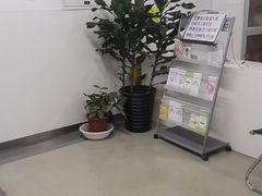 -首都医科大学附属北京潞河医院