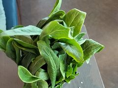 -渔惑·中山脆肉鲩火锅(金湾华发商都店)