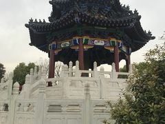 -楚望台遗址公园