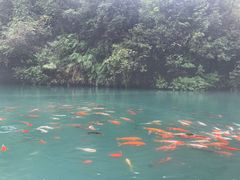 -狮子关旅游区