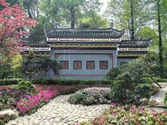 -棠湖公园