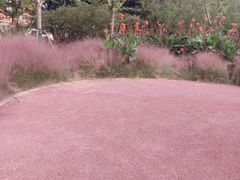 -剪刀石头布家居广场