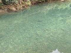 -宁波五龙潭景区