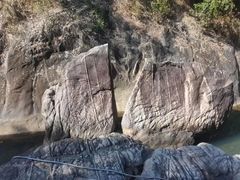 -广州白江湖森林公园