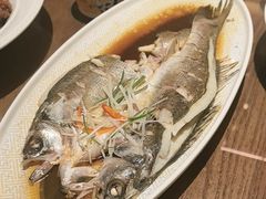 -老山东·山东菜(鲁菜名店)