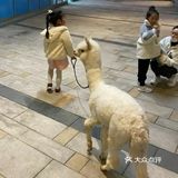 魔都遛娃圣地[胜利]小小动物元