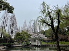 -中国银行(上海市复旦大学支行)