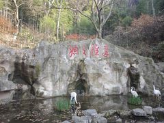 -东庐山观音寺