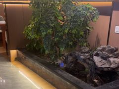 -南山翁新概念川菜(江宁万达广场店)