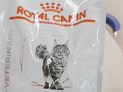 -北京观赏动物医院·24小时大型综合·猫专科·异宠专科