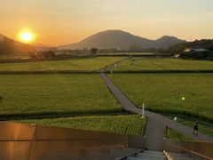 -风云岭森林公园