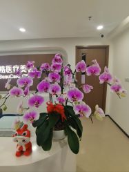 -丰联丽格医疗美容·联合丽格眼整形中心