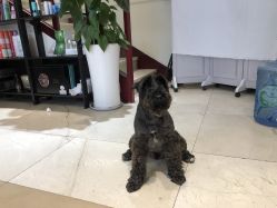 -Hello Lady发型设计